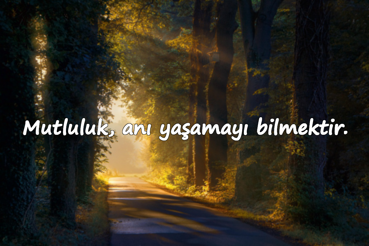 Mutluluk, anı yaşamayı bilmektir.