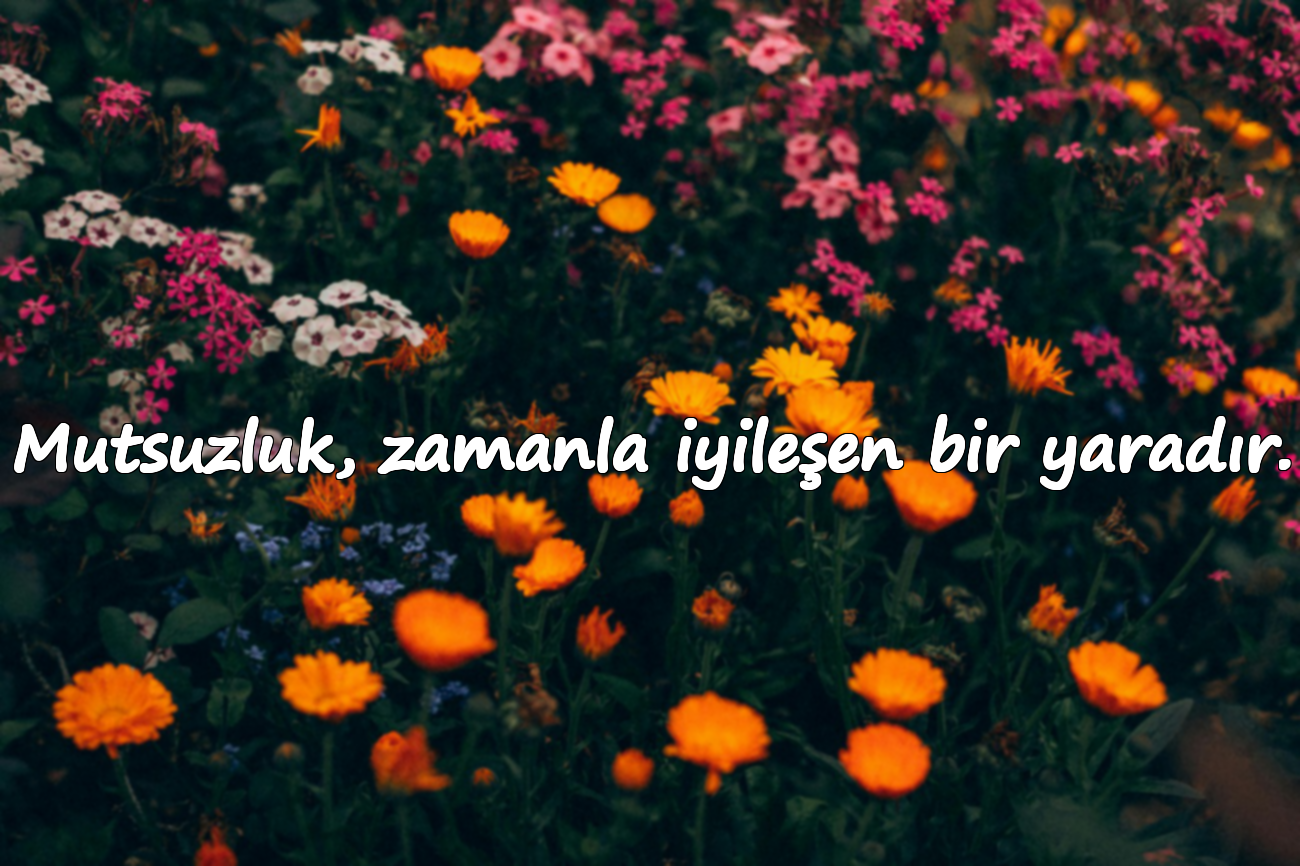Mutsuzluk, zamanla iyileşen bir yaradır.