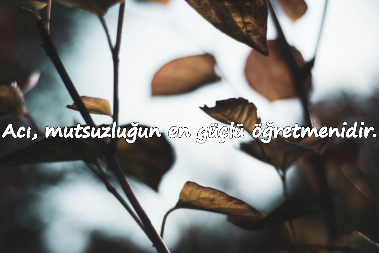 Acı, mutsuzluğun en güçlü öğretmenidir.