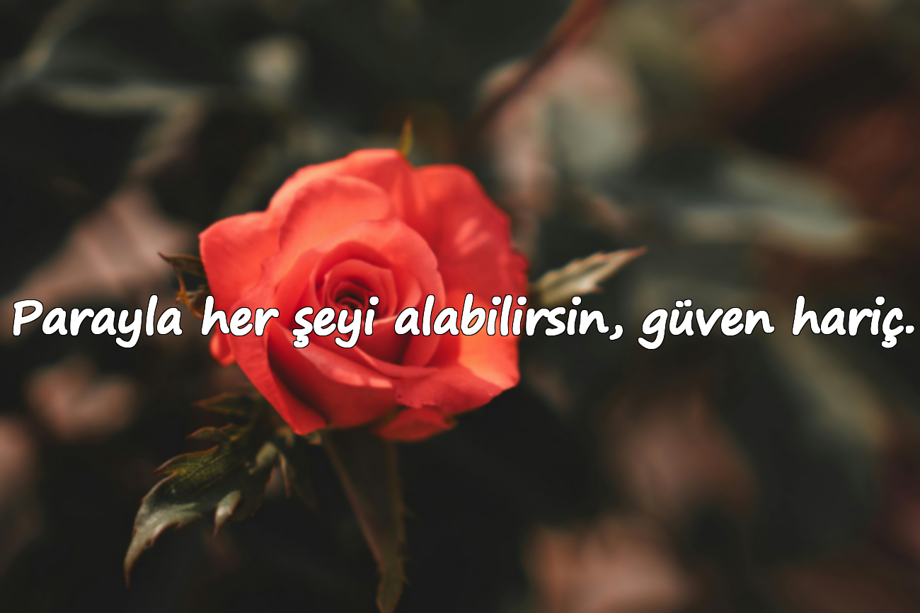 Parayla her şeyi alabilirsin, güven hariç.