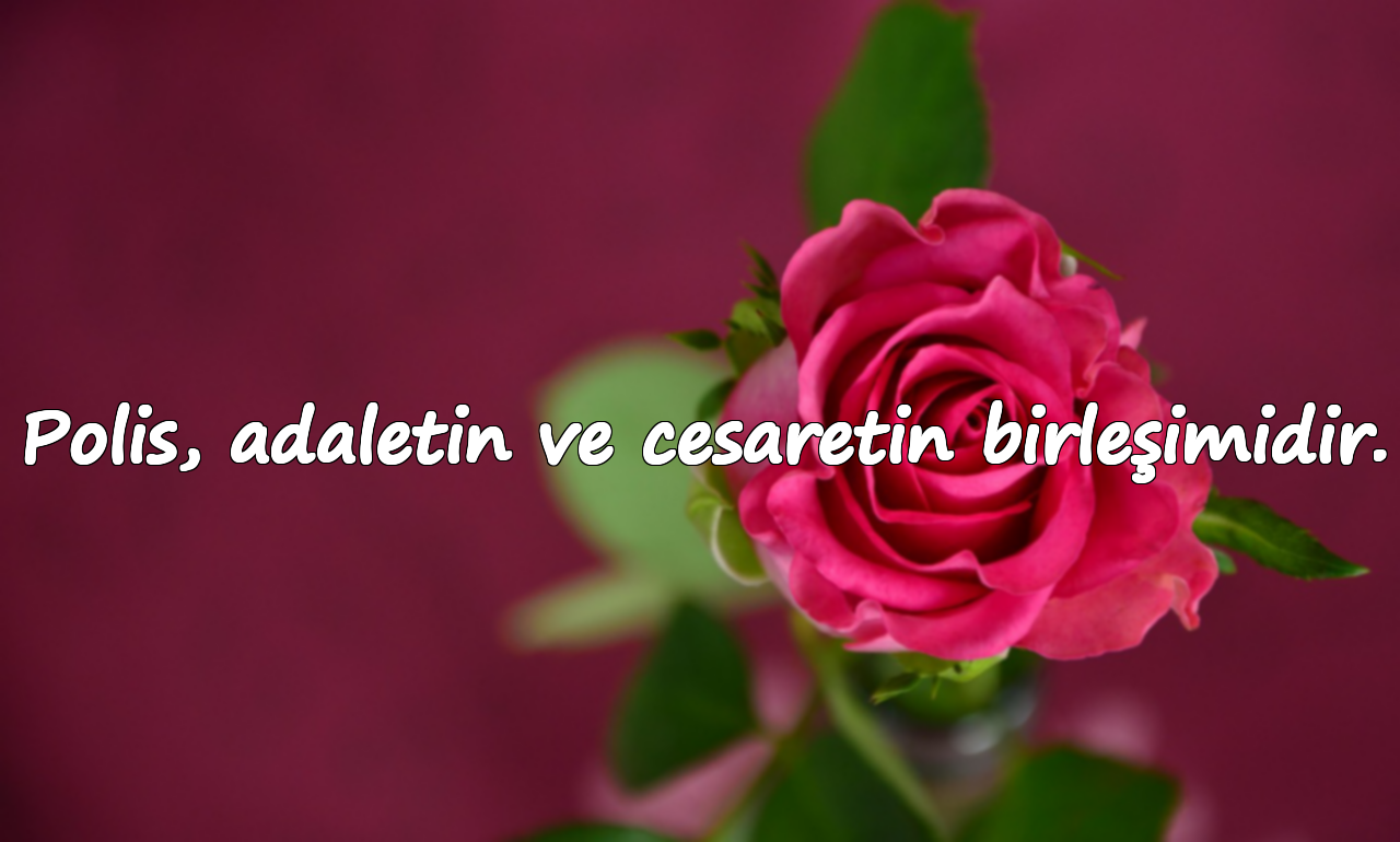 Polis, adaletin ve cesaretin birleşimidir.