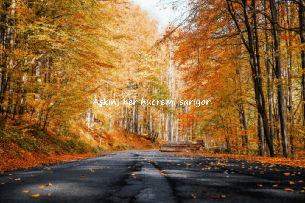 Aşk Sözleri Kısa