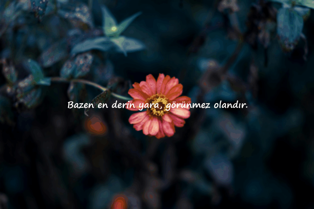 duygusal Sözler