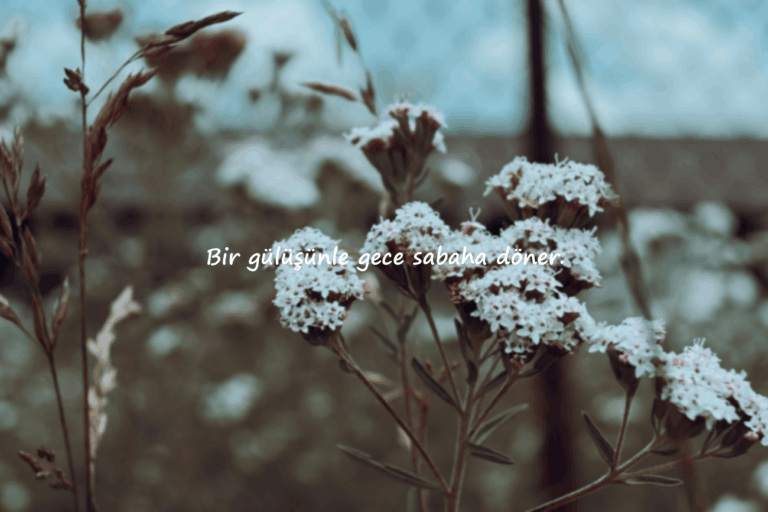 Güzel Sözler