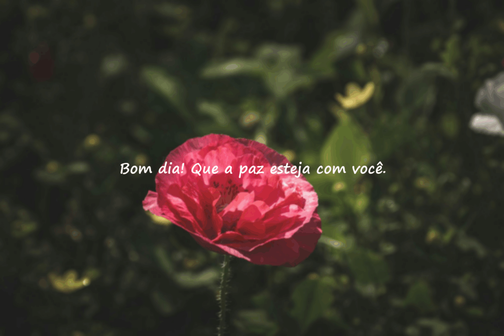 mensagem de um bom dia