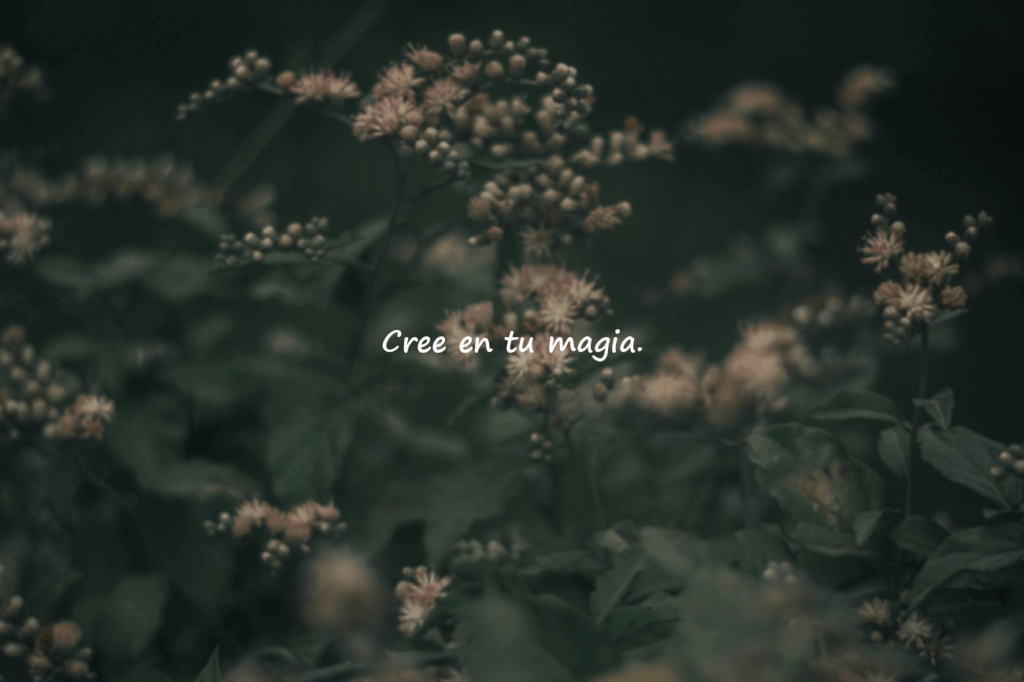 frases motivadoras