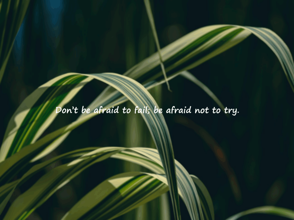 motivational quotes