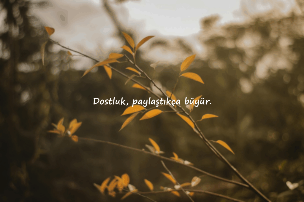 Arkadaş Sözleri