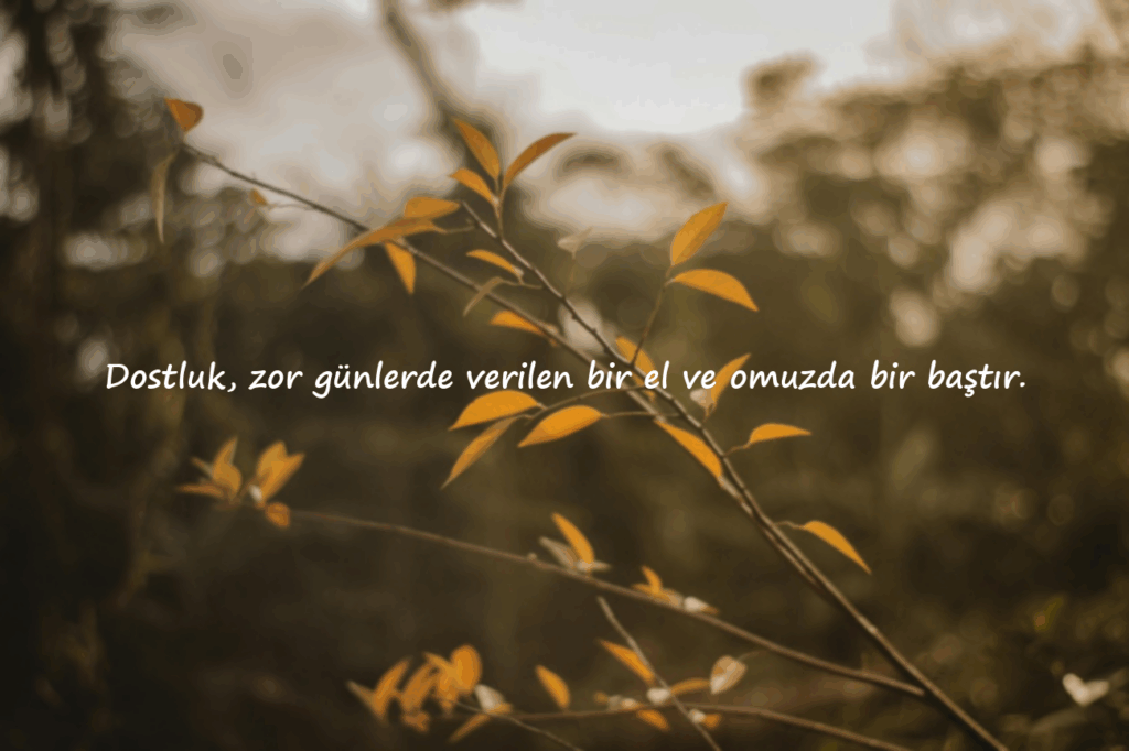 Durum Sözleri