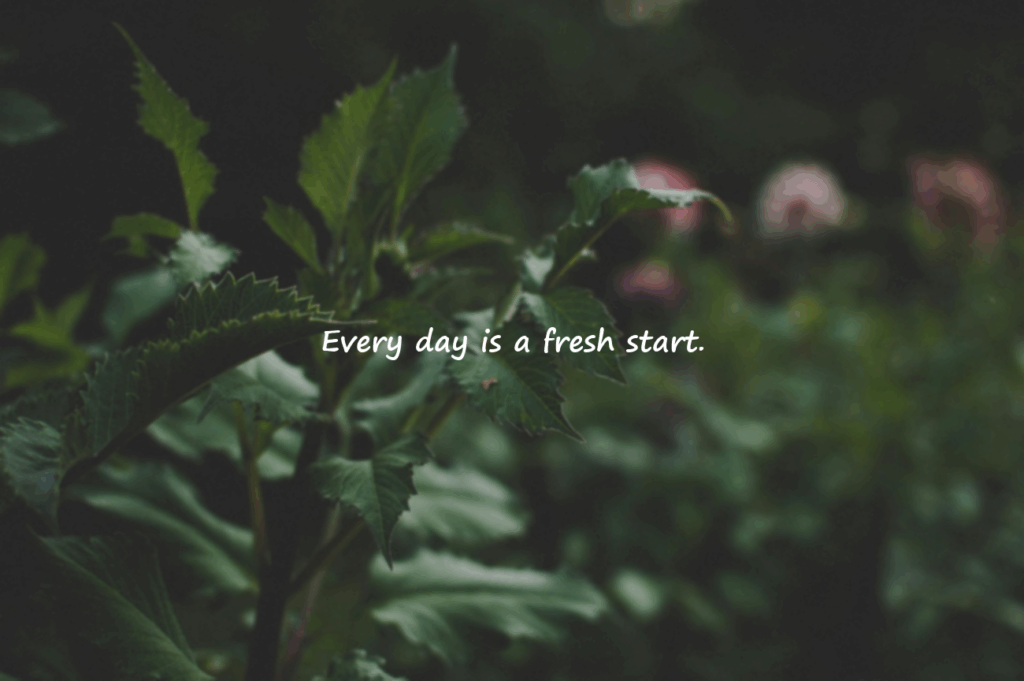 quote of the day
