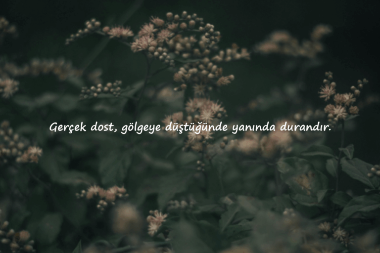 Arkadaş Sözleri