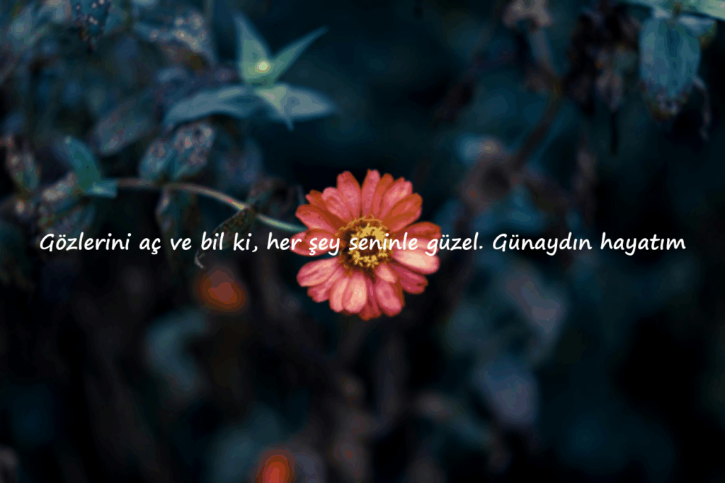 romantik günaydın mesajları sözleri