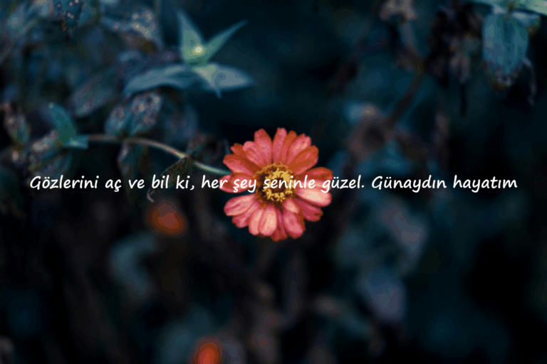 romantik günaydın mesajları sözleri