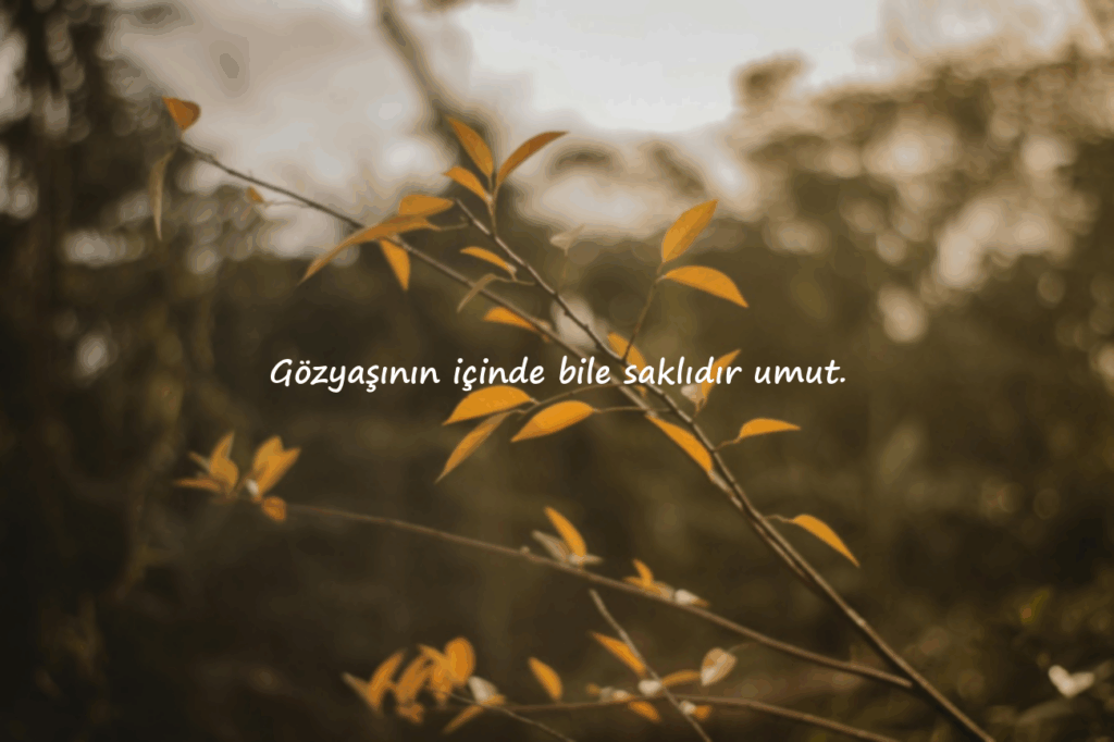 Güzel Sözler
