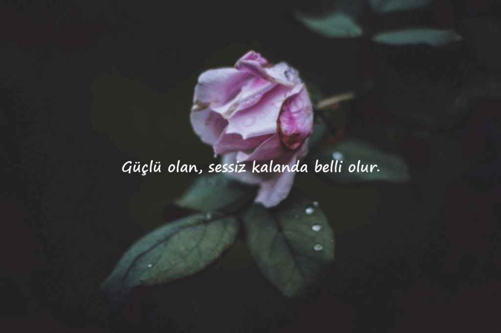 kaliteli sözler kısa