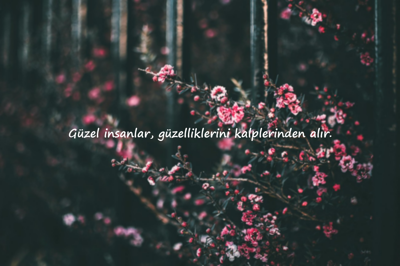 Anlamlı Sözler