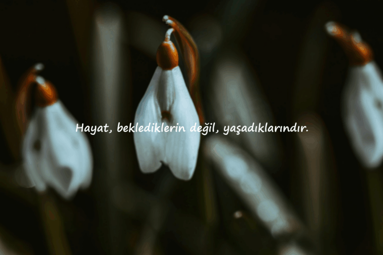 instagram Sözleri