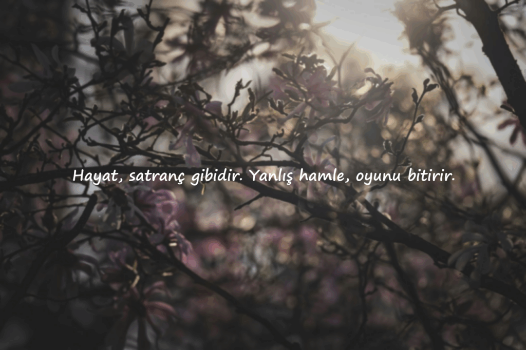 ağır abi sözleri