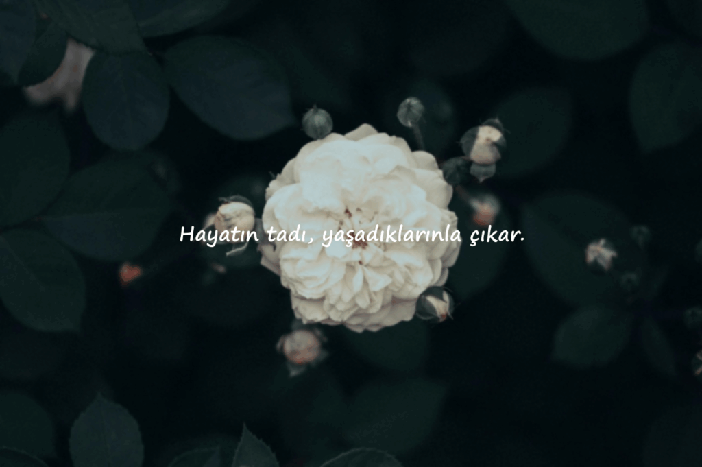 kamyon arkası sözler