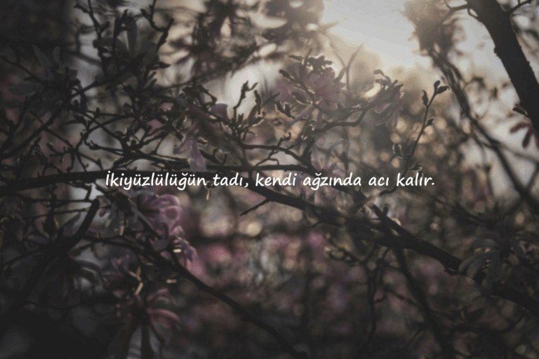 laf sokucu sözler