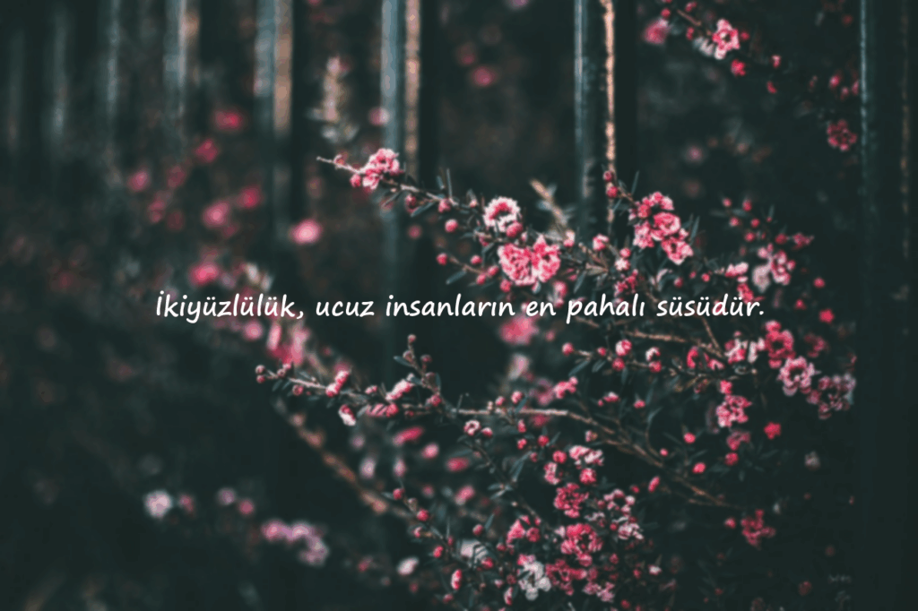 Ağır sözler
