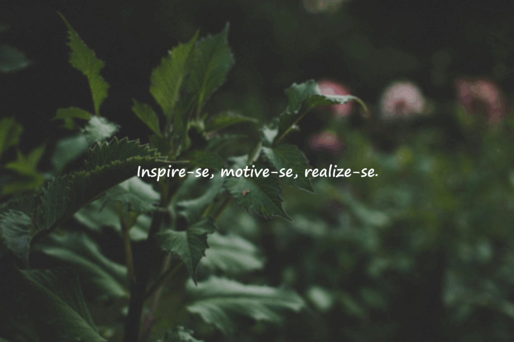 frase motivacional