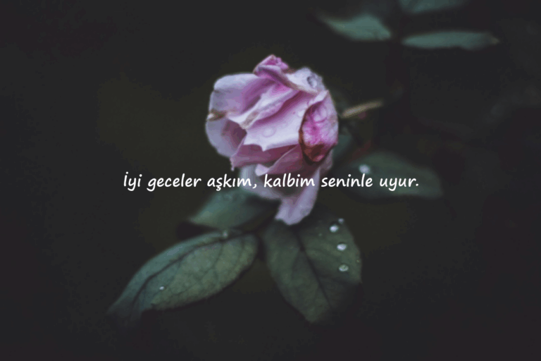 iyi geceler mesajları sözleri