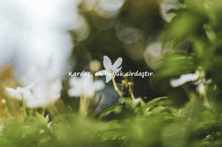 kardeş sözleri