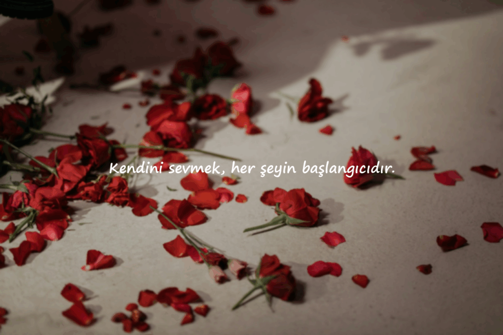 instagram Sözleri