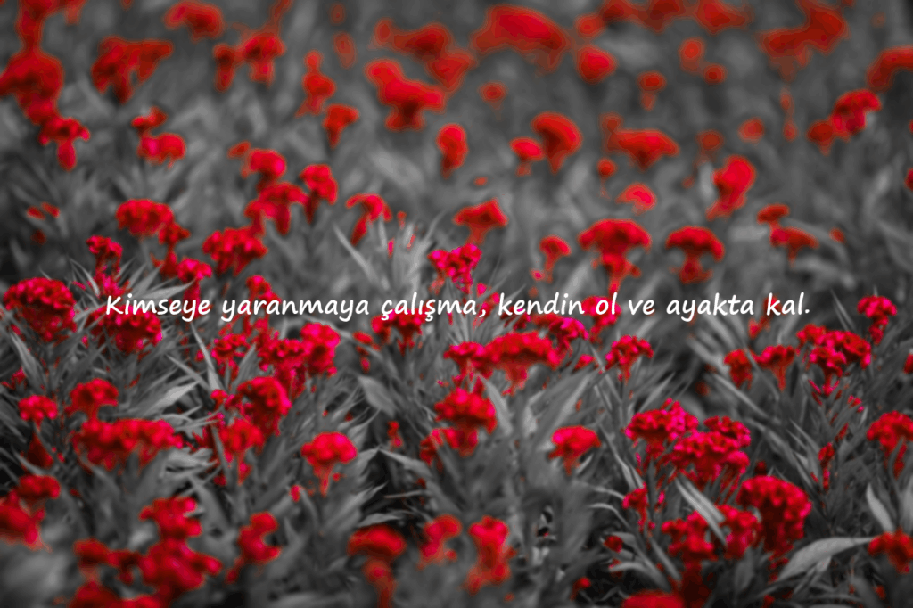 kaliteli sözler kısa