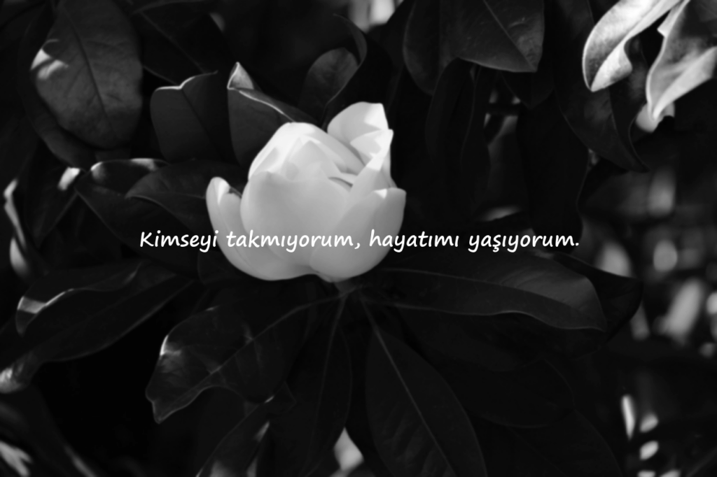 kapak sözler