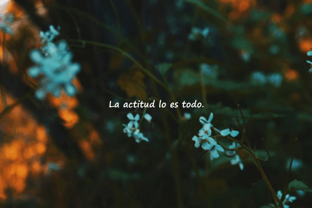 frases motivadoras
