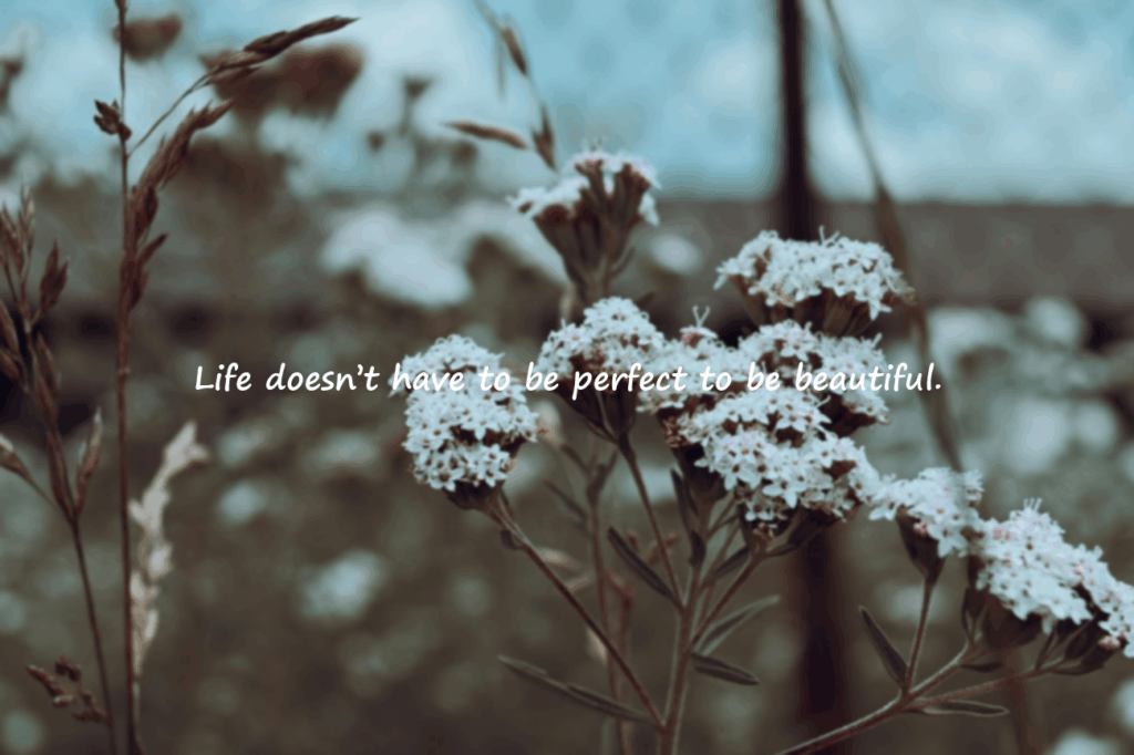 inspirational quotes