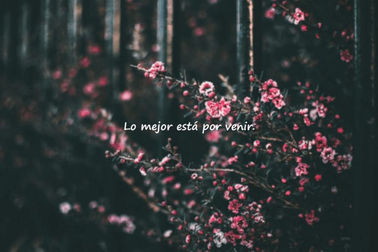 frases positivas