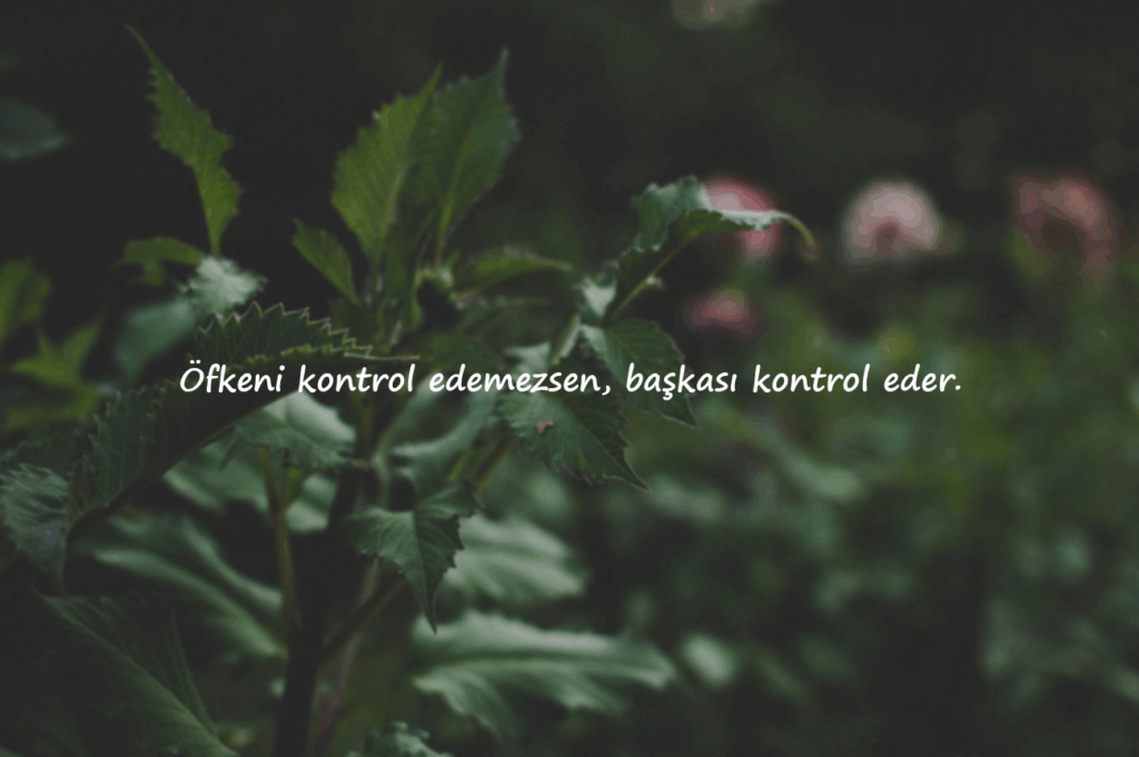 Delikanlı Sözler