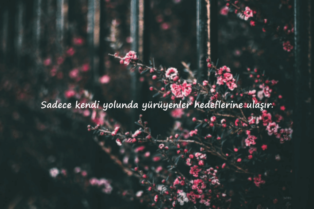 instagram Sözleri