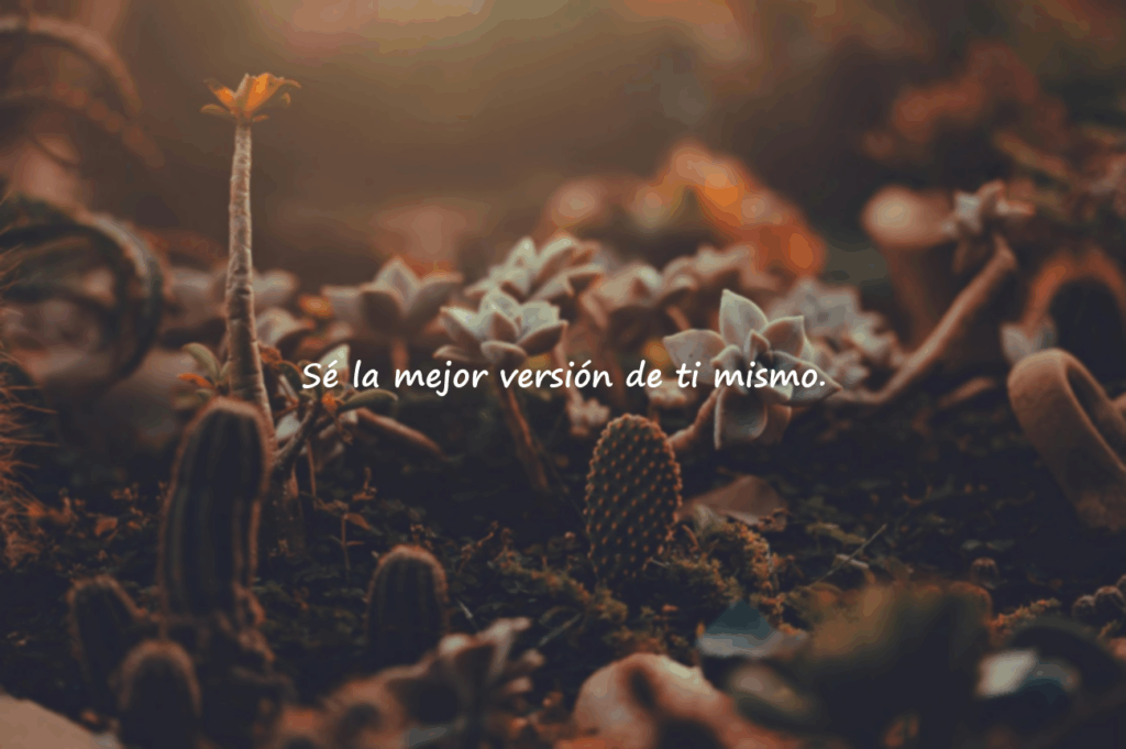 frases motivadoras