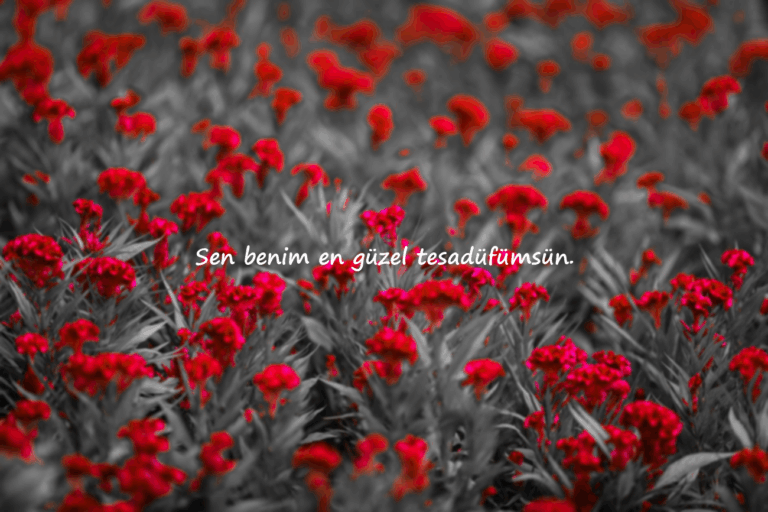Sevdiğine Sözler