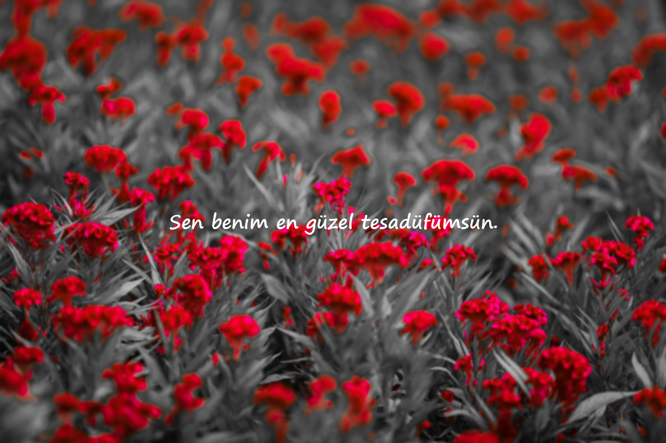 Sevdiğine Sözler