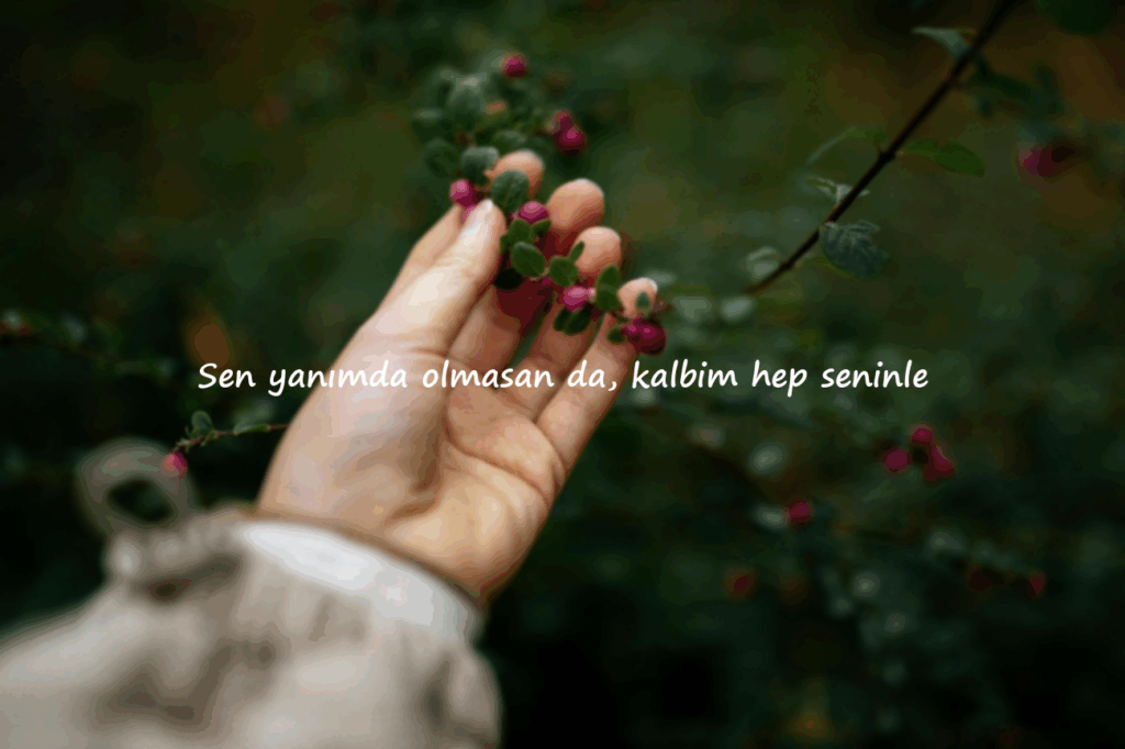 Sevgiliye İyi Geceler Mesajları Sözleri