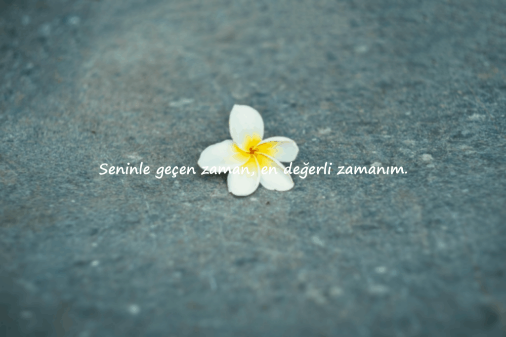 Arkadaş Sözleri