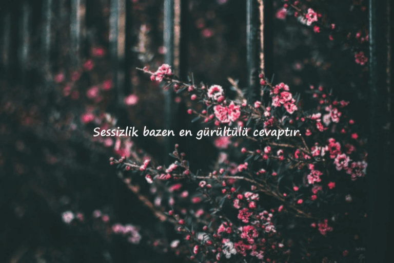 Kısa Sözler