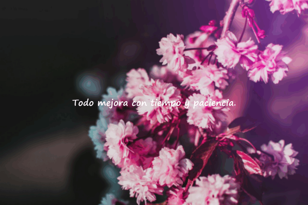 frases positivas