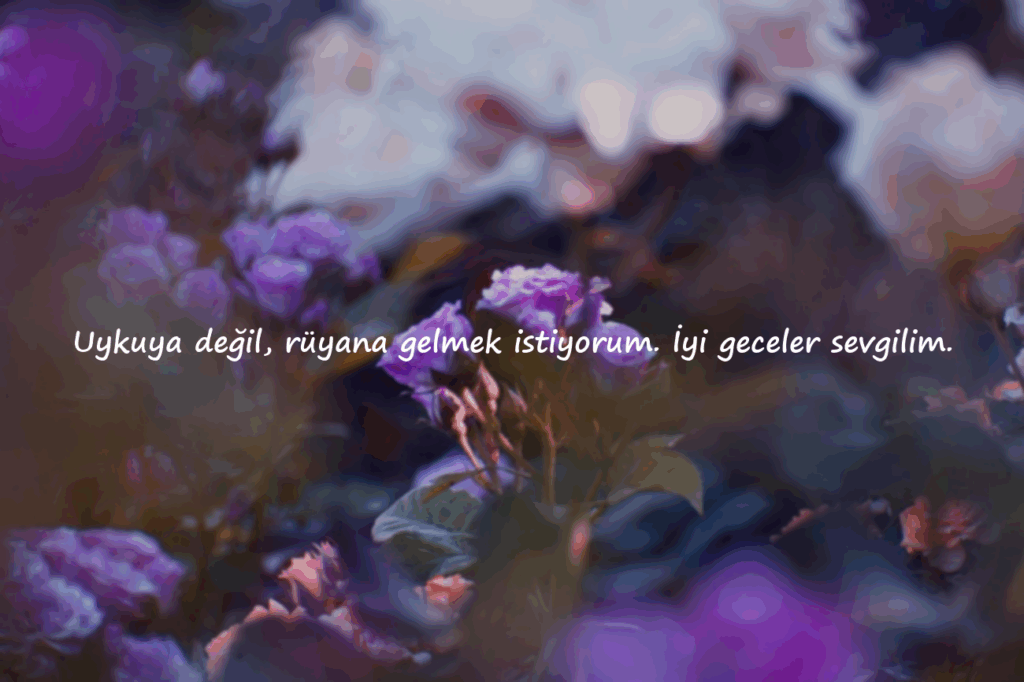 Sevgiliye İyi Geceler Mesajları Sözleri