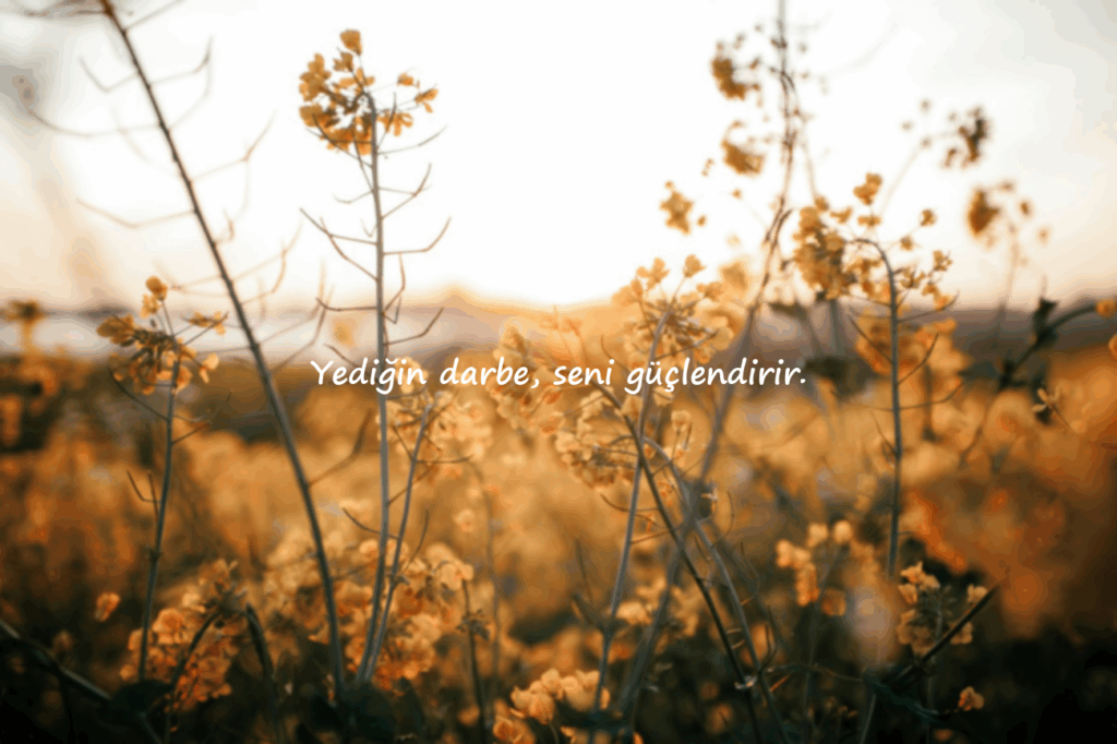 ağır abi sözleri