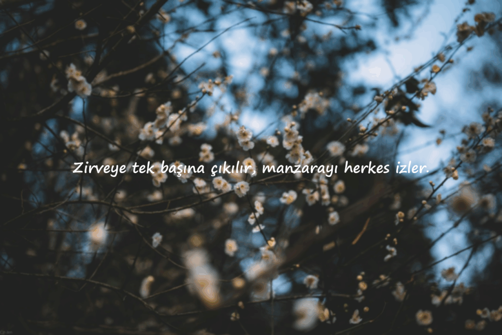 Durum Sözleri