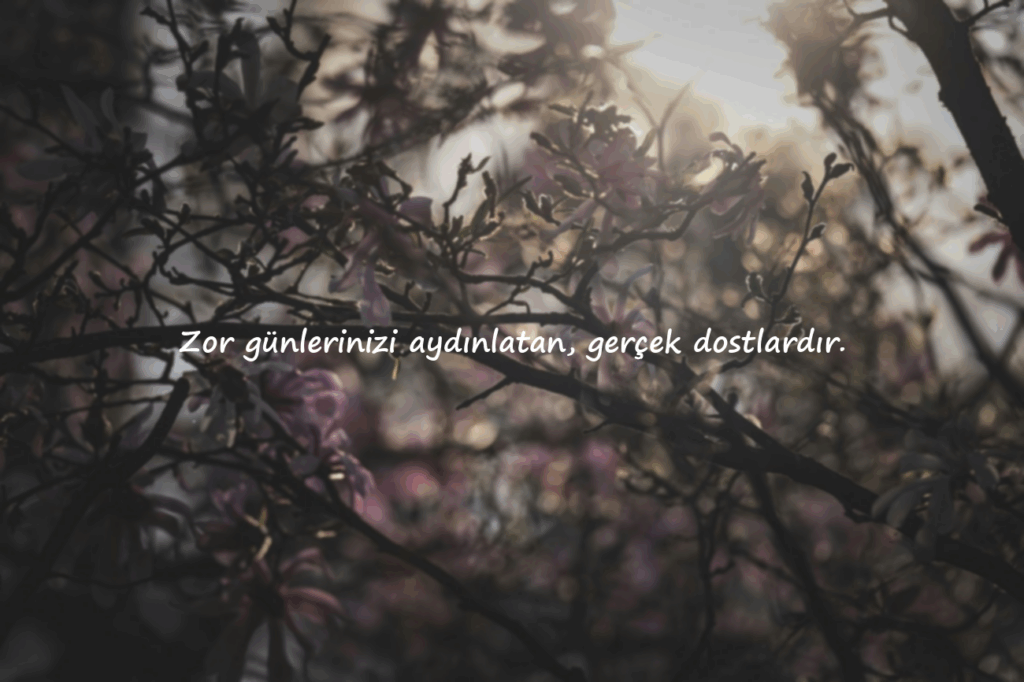 Arkadaş Sözleri