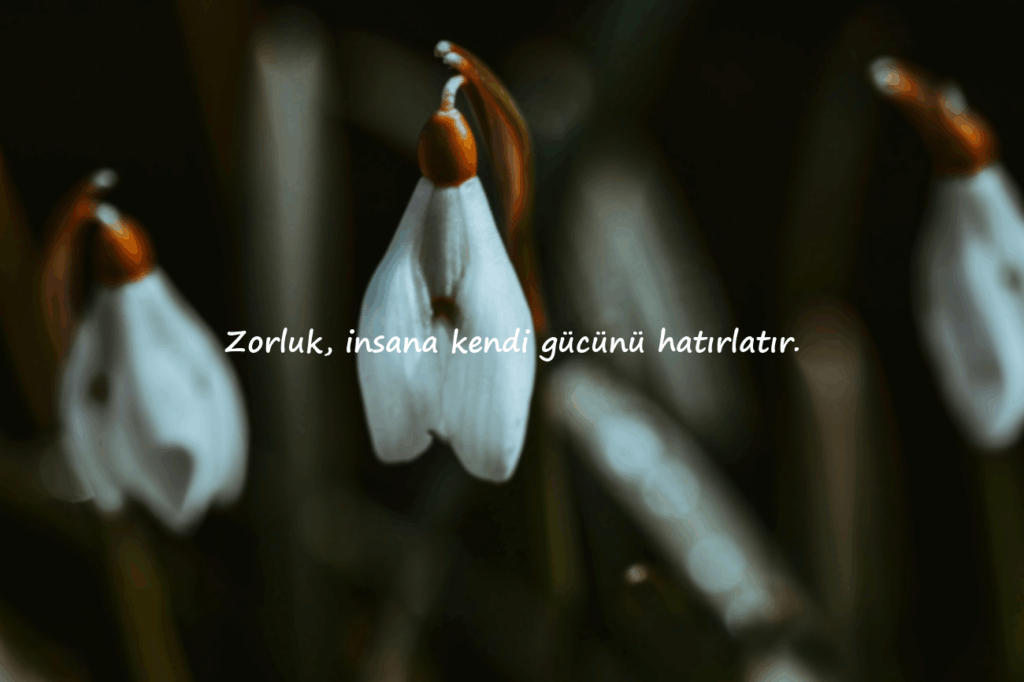 Güzel Sözler