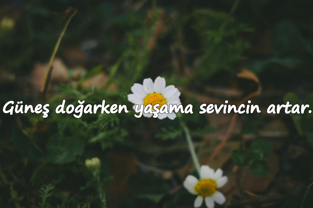 Güneş doğarken yaşama sevincin artar.