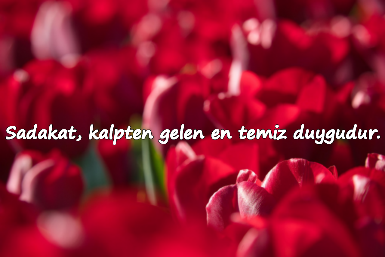 Sadakat, kalpten gelen en temiz duygudur.